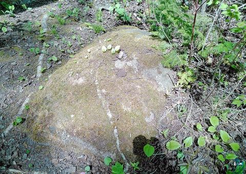 Tiny photo for 54 Caps Tr, Lutsen, MN 55612 (MLS # 6126241)
