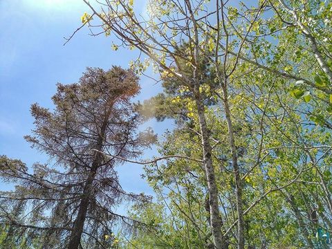 Tiny photo for 54 Caps Tr, Lutsen, MN 55612 (MLS # 6126241)