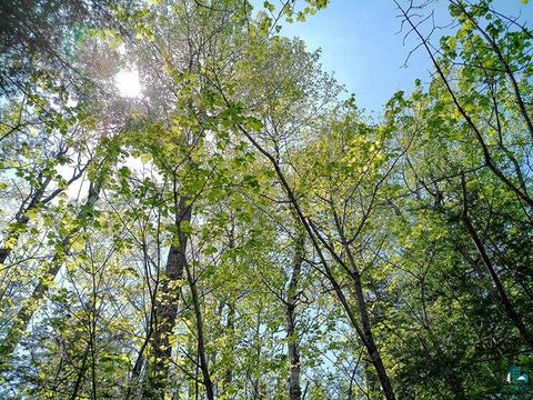 Tiny photo for 54 Caps Tr, Lutsen, MN 55612 (MLS # 6126241)