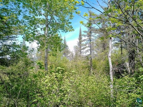 Tiny photo for 54 Caps Tr, Lutsen, MN 55612 (MLS # 6126241)