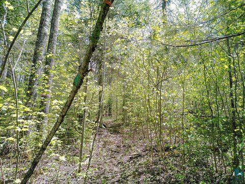 Tiny photo for 54 Caps Tr, Lutsen, MN 55612 (MLS # 6126241)