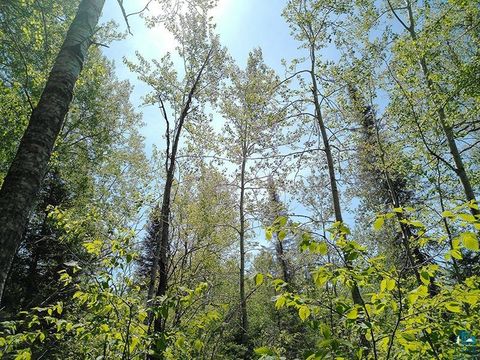 Tiny photo for 54 Caps Tr, Lutsen, MN 55612 (MLS # 6126241)