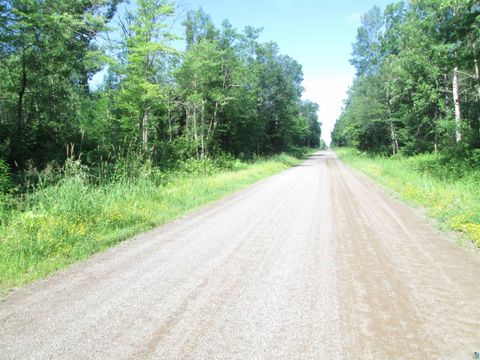 Tiny photo for 6810 Northeast Rd, Wright, MN 55798 (MLS # 6126624)