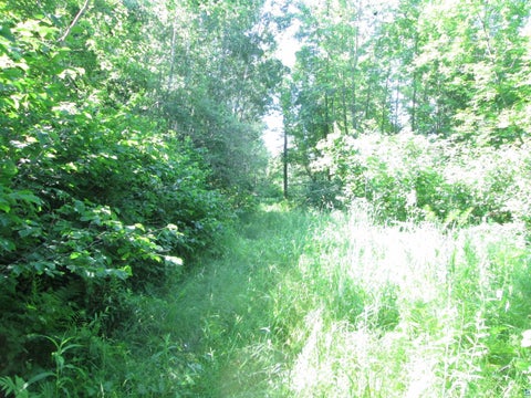 Tiny photo for 6810 Northeast Rd, Wright, MN 55798 (MLS # 6126624)