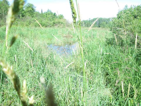 Tiny photo for 6810 Northeast Rd, Wright, MN 55798 (MLS # 6126624)