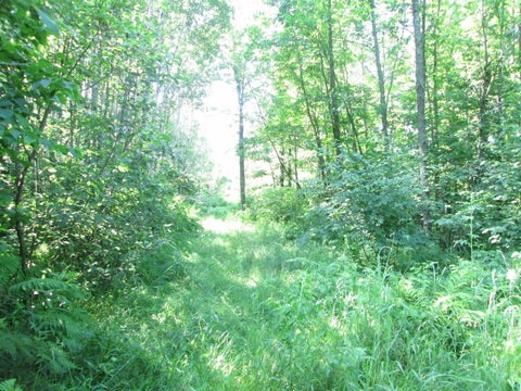 Tiny photo for 6810 Northeast Rd, Wright, MN 55798 (MLS # 6126624)
