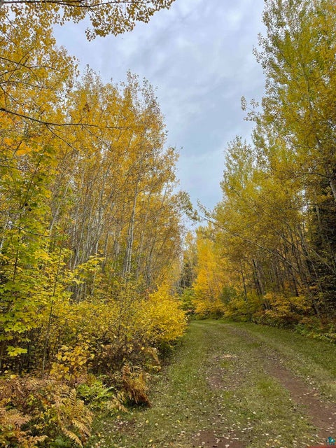 Tiny photo for 1062 W Clark Rd, Two Harbors, MN 55616 (MLS # 6127644)