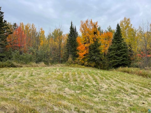 Tiny photo for 1062 W Clark Rd, Two Harbors, MN 55616 (MLS # 6127644)
