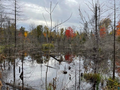 Tiny photo for 1062 W Clark Rd, Two Harbors, MN 55616 (MLS # 6127644)