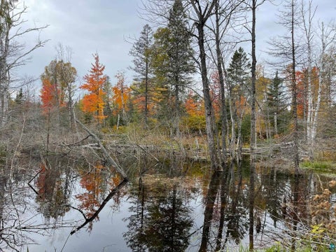 Tiny photo for 1062 W Clark Rd, Two Harbors, MN 55616 (MLS # 6127644)