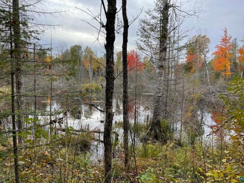 Tiny photo for 1062 W Clark Rd, Two Harbors, MN 55616 (MLS # 6127644)