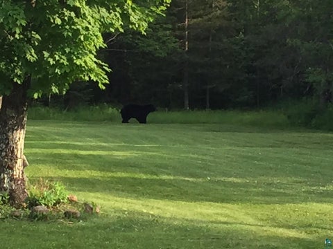 Tiny photo for 1062 W Clark Rd, Two Harbors, MN 55616 (MLS # 6127644)