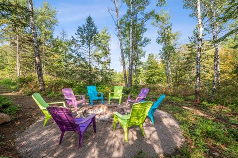 Tiny photo for 417 Elk St, Duluth, MN 55804 (MLS # 6123358)