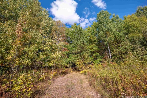 Tiny photo for 38274 Tober Rd, Marengo, WI 54855 (MLS # 6128261)