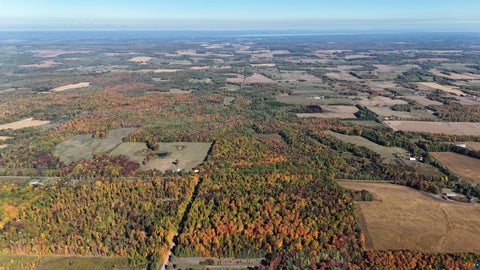 Tiny photo for 38274 Tober Rd, Marengo, WI 54855 (MLS # 6128261)