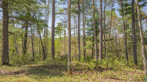 Tiny photo for 4151 Mud Creek Rd, Ely, MN 55731 (MLS # 6125796)