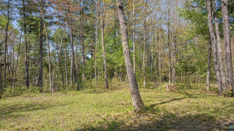 Tiny photo for 4151 Mud Creek Rd, Ely, MN 55731 (MLS # 6125796)