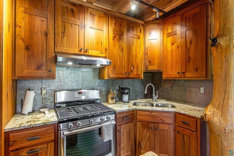 Tiny photo for 4151 Mud Creek Rd, Ely, MN 55731 (MLS # 6125796)
