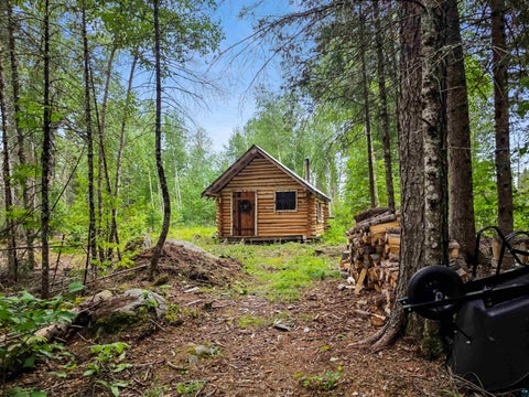 Tiny photo for 522 Dunka River Rd, Isabella, MN 55607 (MLS # 6127335)