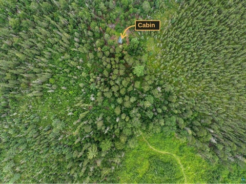 Tiny photo for 522 Dunka River Rd, Isabella, MN 55607 (MLS # 6127335)