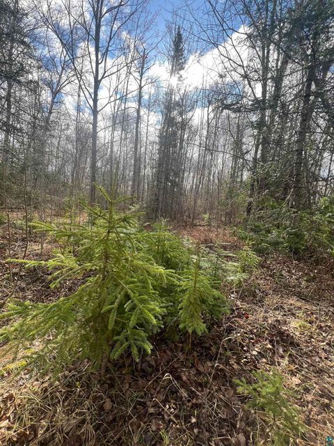 Tiny photo for 3520 Hwy 3, Two Harbors, MN 55616 (MLS # 6124955)