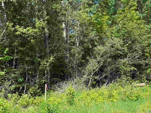 Tiny photo for 2 Parameter Rd, Deer River, MN 56636 (MLS # 6127542)