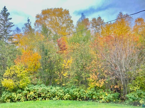 Tiny photo for 5273 Spruce Ct, Duluth, MN 55804 (MLS # 6126828)