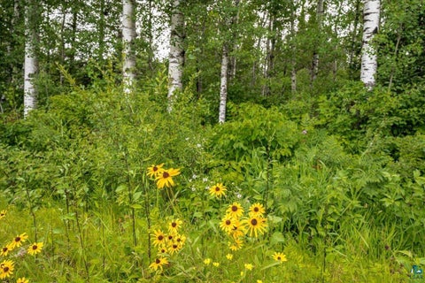 Tiny photo for XXX Lavell Rd, Meadowlands, MN 55765 (MLS # 6127193)