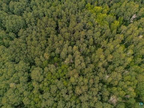 Tiny photo for XXX Lavell Rd, Meadowlands, MN 55765 (MLS # 6127193)