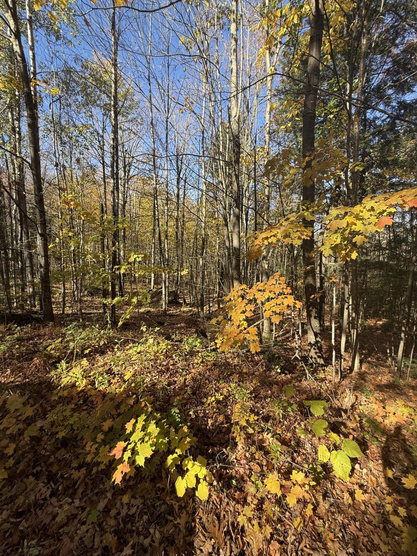 0000 Ashland Bayfield Rd