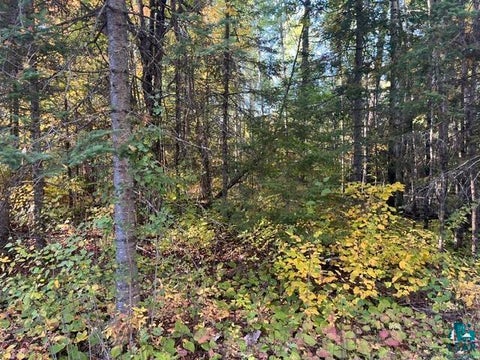 Tiny photo for TBD S Loon Lake Rd, Aurora, MN 55705 (MLS # 6128287)
