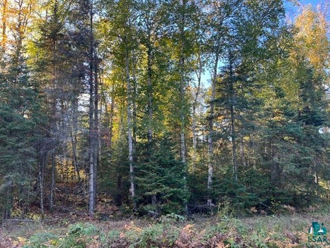 Tiny photo for TBD S Loon Lake Rd, Aurora, MN 55705 (MLS # 6128287)