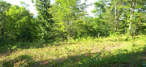 83xxx Ashwabay Heights Rd Bayfield WI 54814