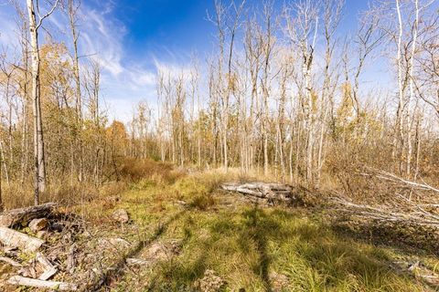 Tiny photo for xxx Amity Drive, Duluth, MN 55803 (MLS # 6123651)