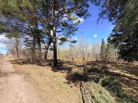 Tiny photo for 419 W Quince St, Duluth, MN 55811 (MLS # 6125033)