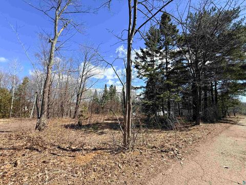 Tiny photo for 419 W Quince St, Duluth, MN 55811 (MLS # 6125033)