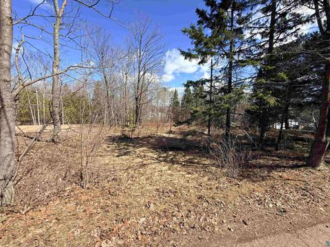 Tiny photo for 419 W Quince St, Duluth, MN 55811 (MLS # 6125033)