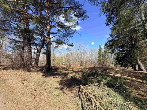 Tiny photo for 419 W Quince St, Duluth, MN 55811 (MLS # 6125033)