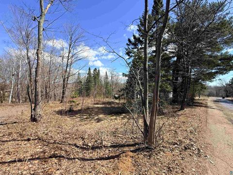 Photo of 419 W Quince St, Duluth, MN 55811 (MLS # 6125033)