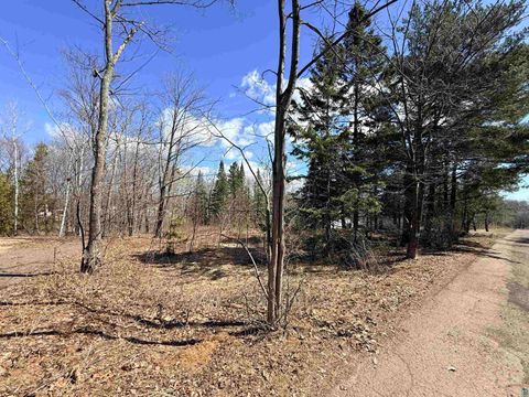 Tiny photo for 419 W Quince St, Duluth, MN 55811 (MLS # 6125033)