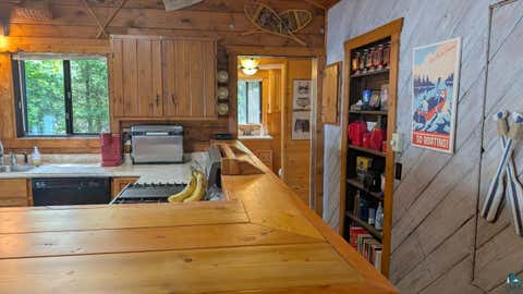 Tiny photo for 8119 Muskego Point, Cook, MN 55723 (MLS # 6126155)