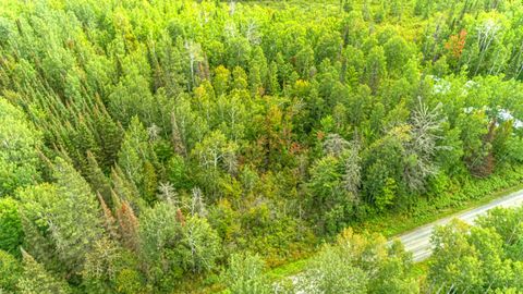 Tiny photo for TBDD Comet Rd, Embarrass, MN 55732 (MLS # 6123169)