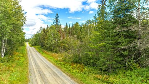 Tiny photo for TBDD Comet Rd, Embarrass, MN 55732 (MLS # 6123169)