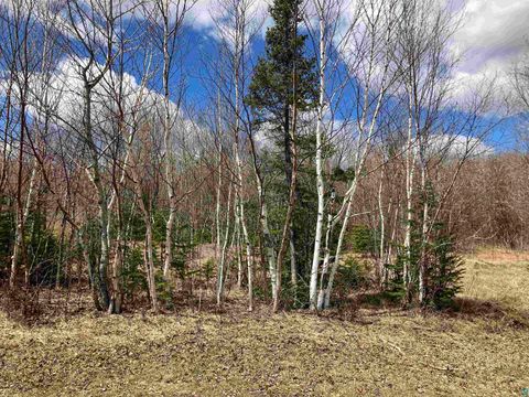 Tiny photo for xx Quincy Dr, Silver Bay, MN 55614 (MLS # 6125195)