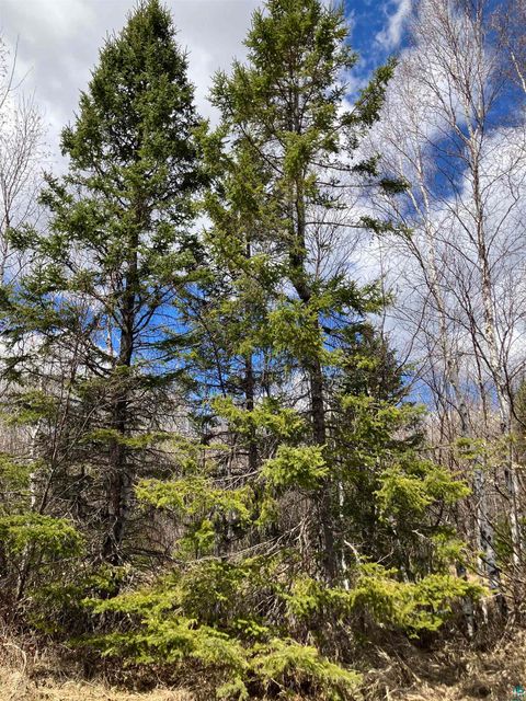 Tiny photo for xx Quincy Dr, Silver Bay, MN 55614 (MLS # 6125195)