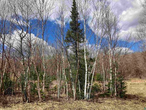 Tiny photo for xx Quincy Dr, Silver Bay, MN 55614 (MLS # 6125195)