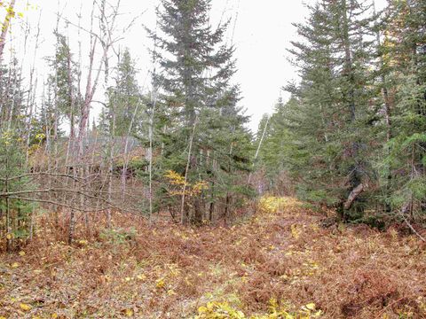 Tiny photo for 2 Fullerton Rd, Hovland, MN 55606 (MLS # 6122626)