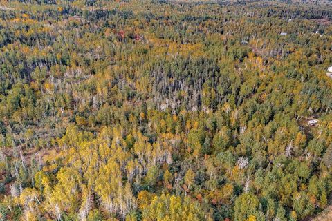 Tiny photo for TBD Highway 61, Beaver Bay, MN 55601 (MLS # 6123366)