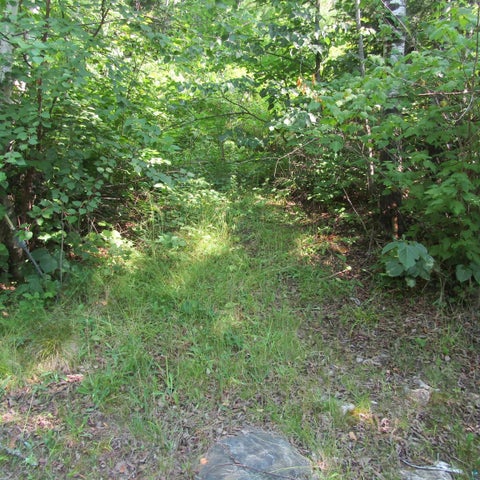 Tiny photo for 3297 Aspen Ln, Ely, MN 55731 (MLS # 6127037)