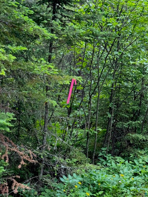 Tiny photo for TBD Onagon Lake Rd, Grand Marais, MN 55604 (MLS # 6126688)